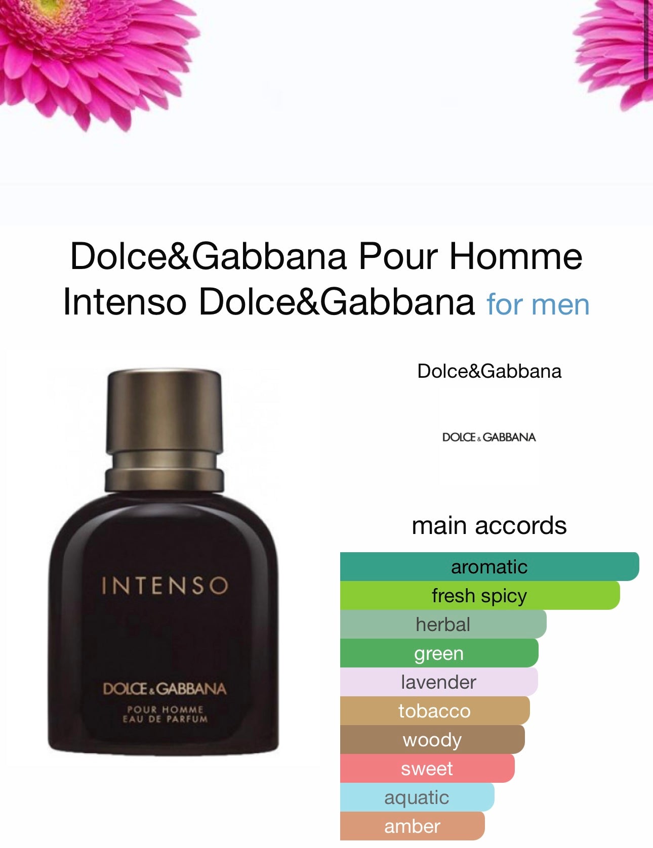 Intenso DOLCE & GABBANA