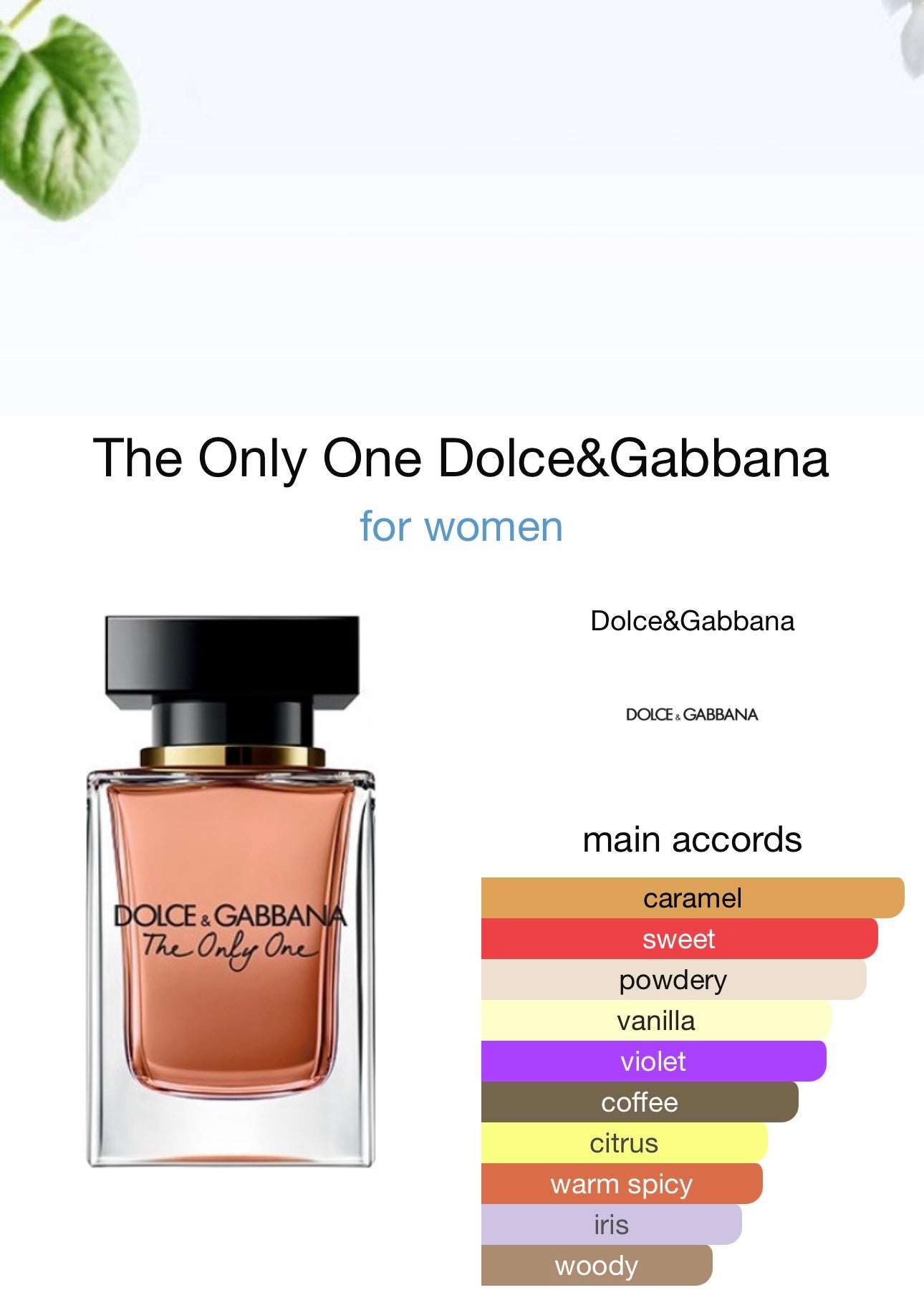 Dolce & Gabbana The Only One For Women Edp 100ml