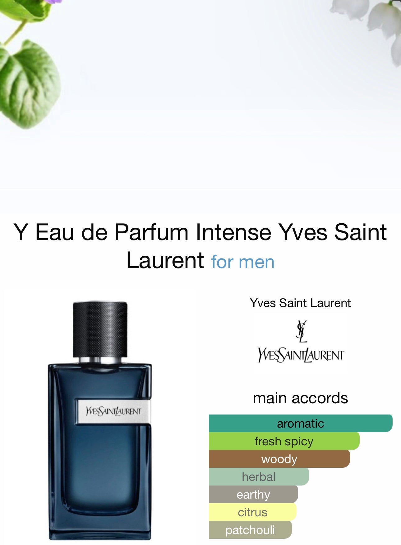 Y Eau de Parfum Men's